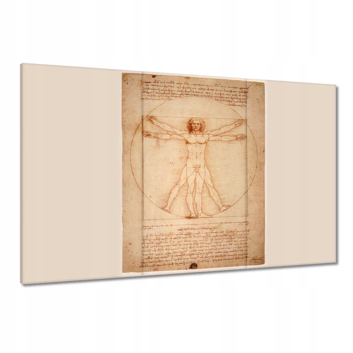 Obrazy 120x80 Vitruviánský člověk