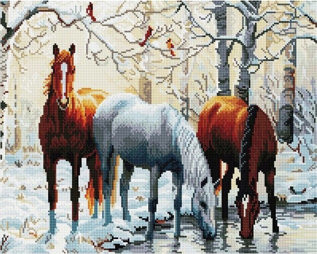 Diamantová mozaika na kroně 40x50 Ipicasso-pl