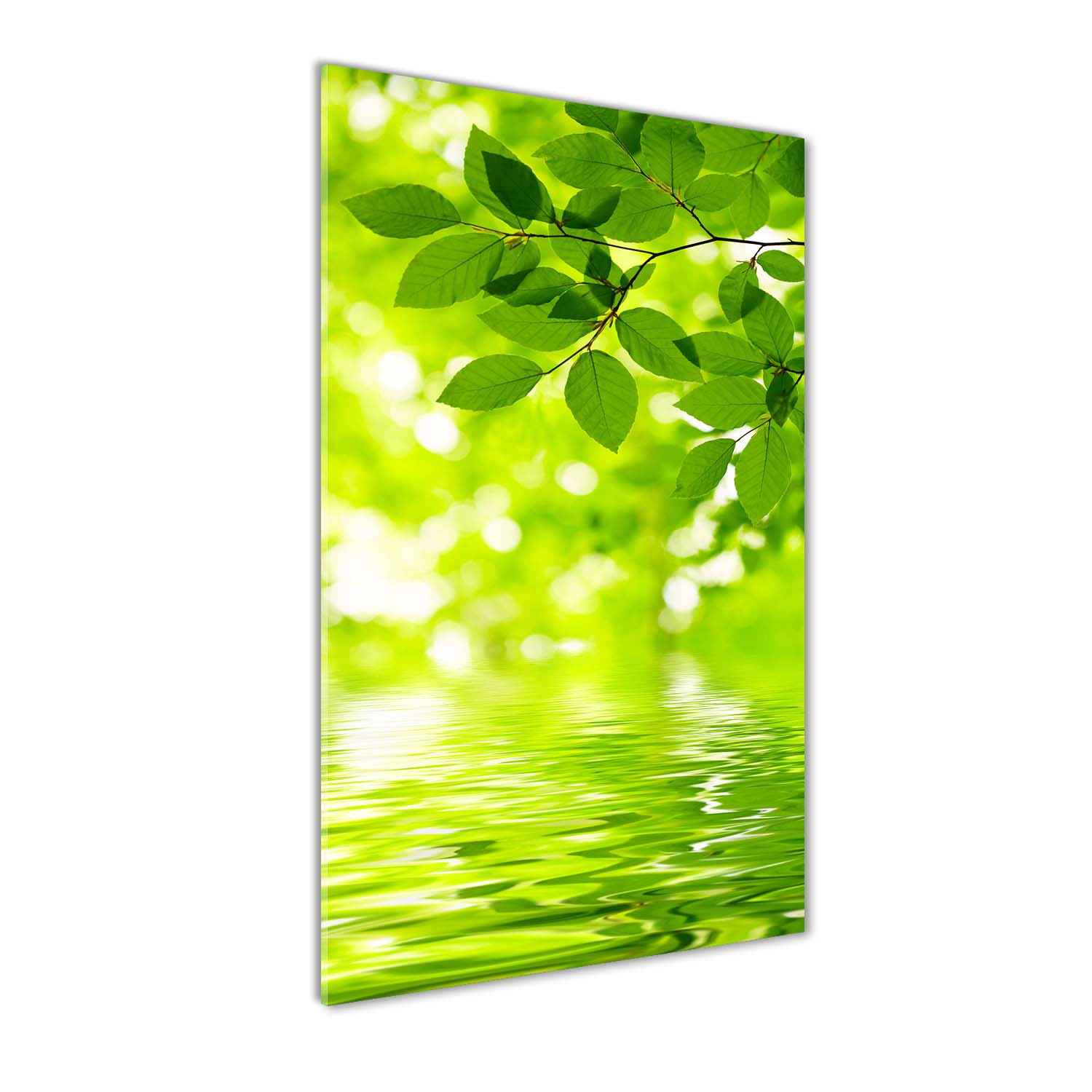 

Foto obraz akryl do salonu Zielone liście 70x140cm