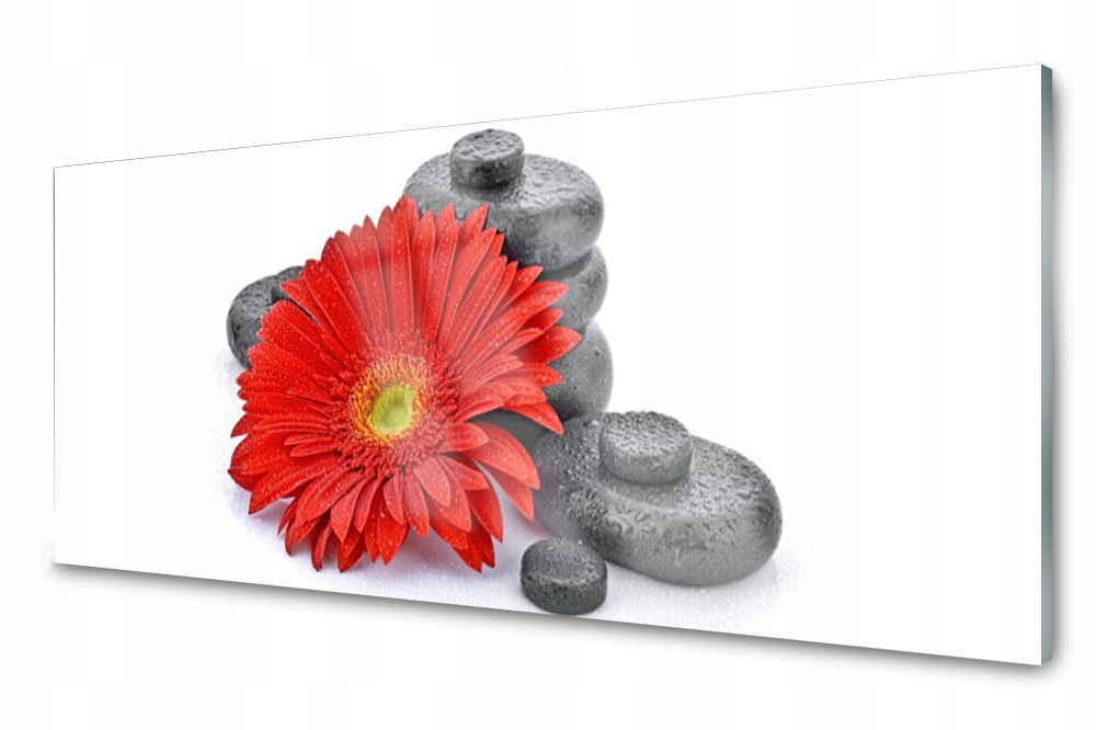 

Panel szklany do kuchni Kwiaty Gerbery Zen 125x50