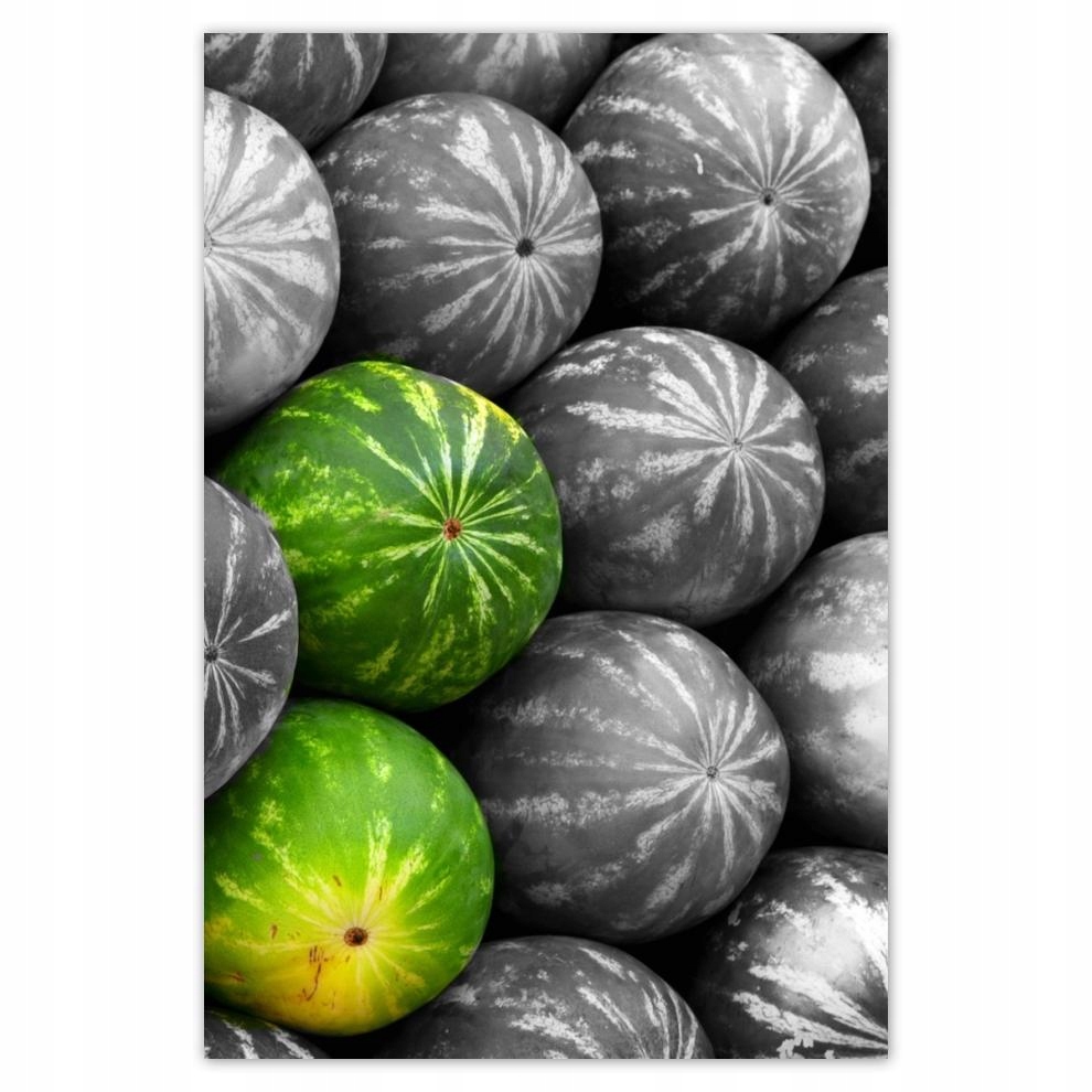 

Plakat 62x93 Trzy kolorowe arbuzy