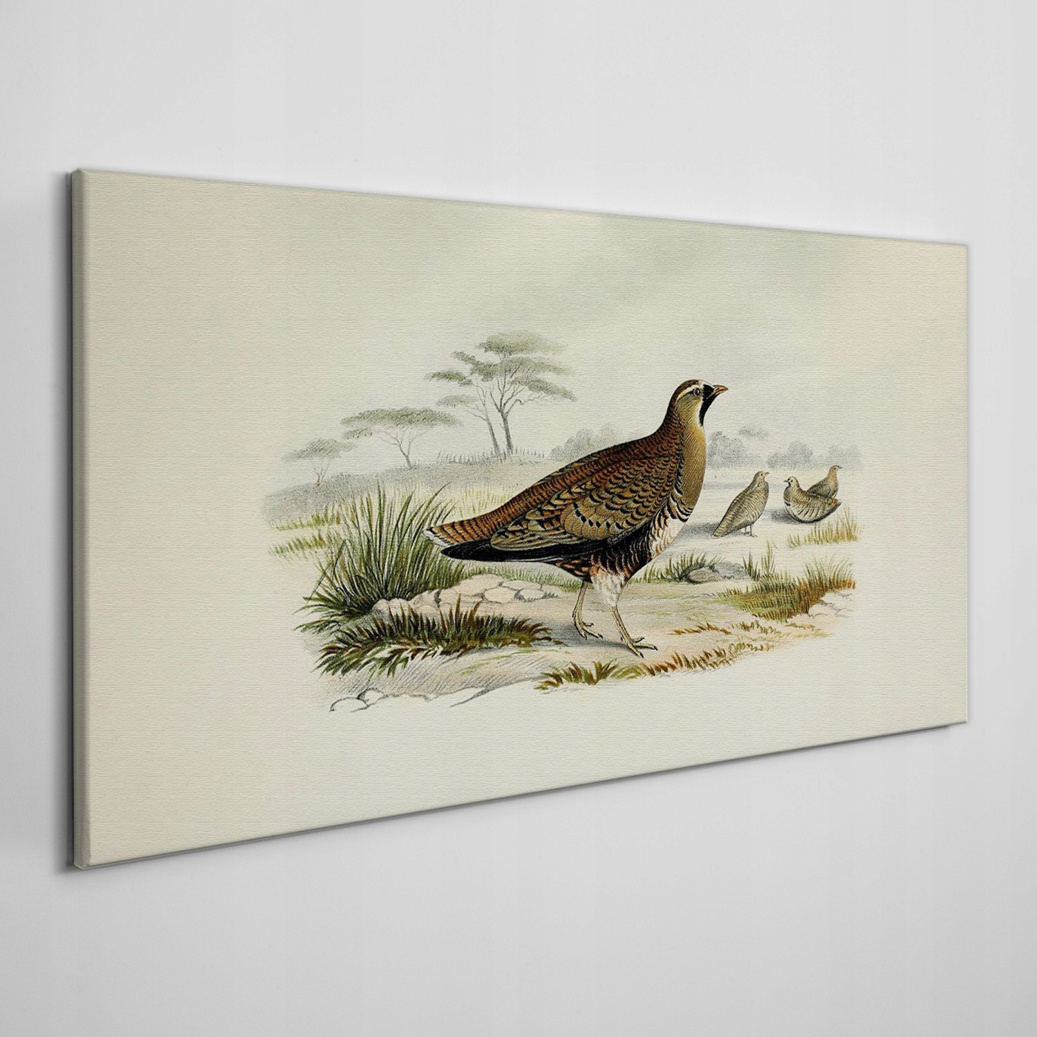 

Obraz na płótnie Ptaki dzikie zwierzęta 140x70 cm