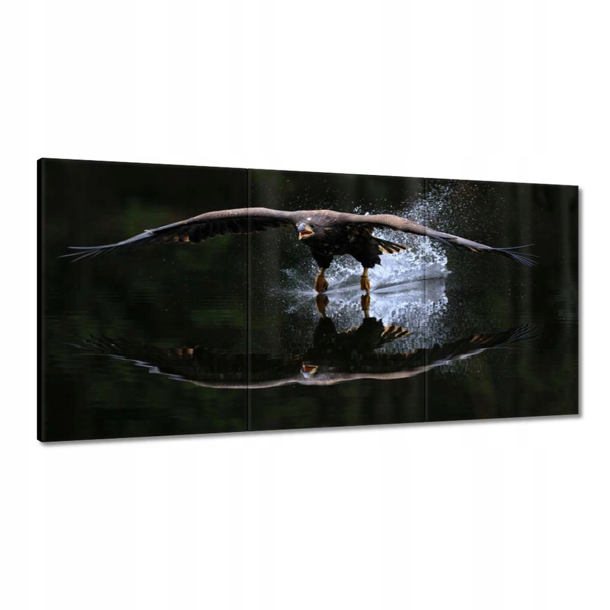 Obrazy 180x90 Vtáky Vtáky