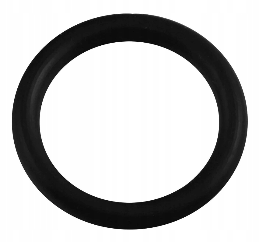 Oring wylewki 3/4" (5 szt.) ORGW34