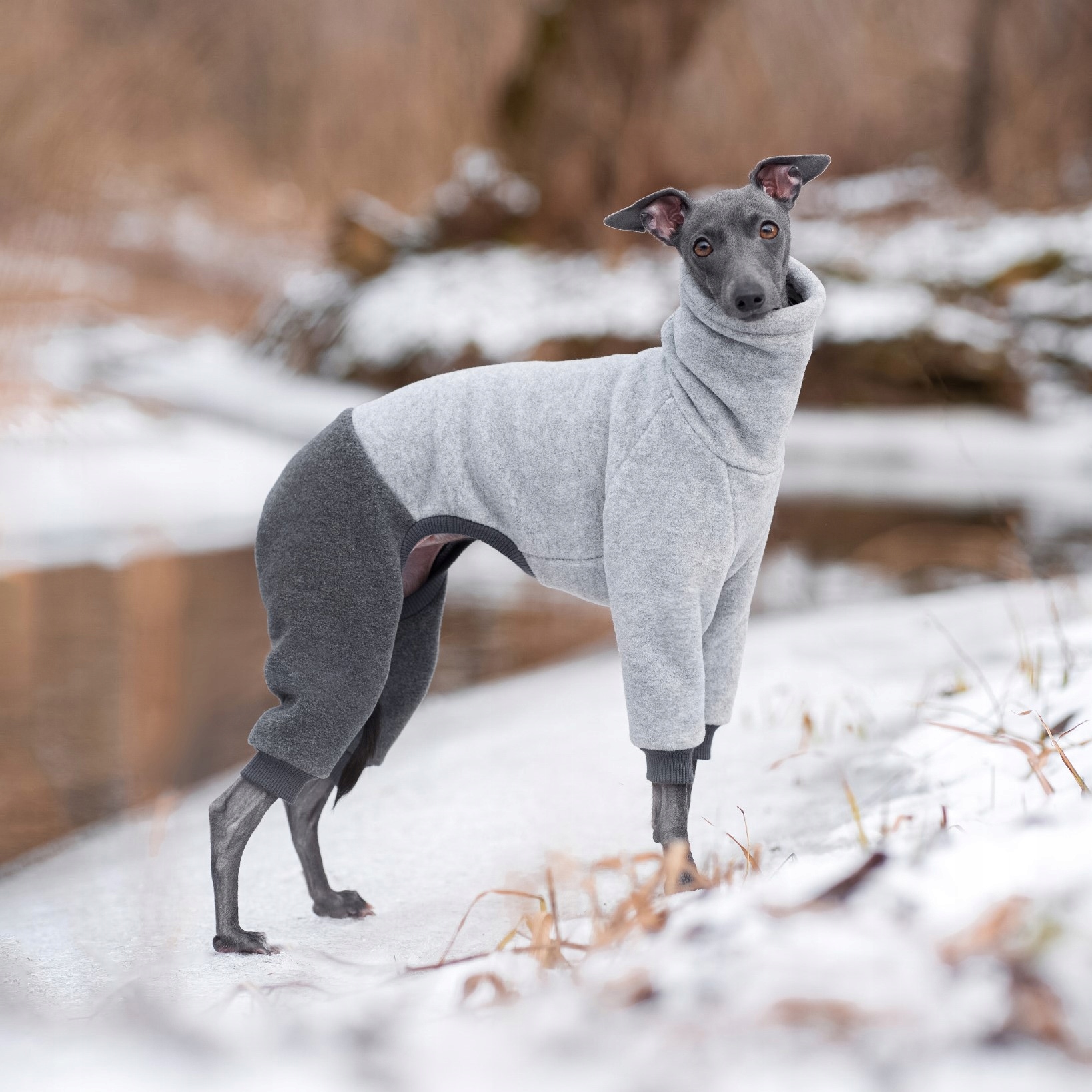 Levně Oblečení pro italského chrtíka Kombinéza Extra Warm