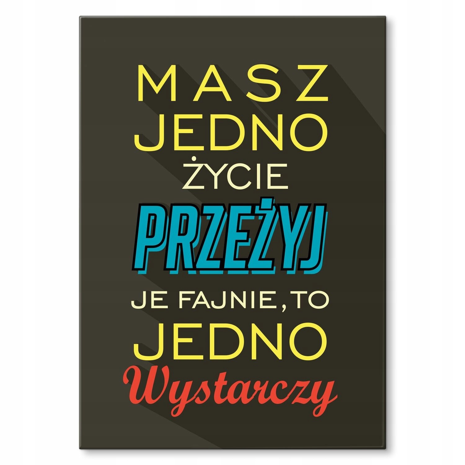 Kovový plakát máš jeden život Štítek Plech 30 x 42 cm Dárek