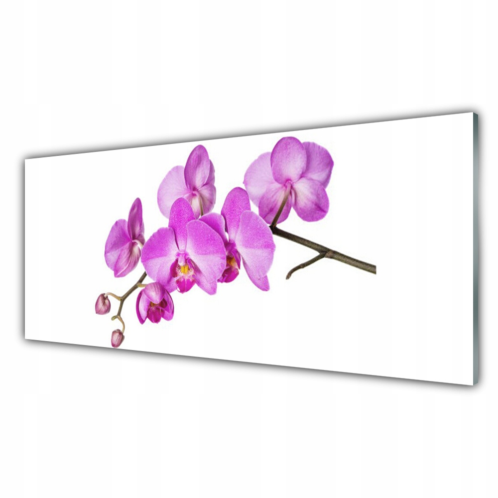 

Obraz nowoczesny 125x50 Storczyk Orchidea Kwiaty