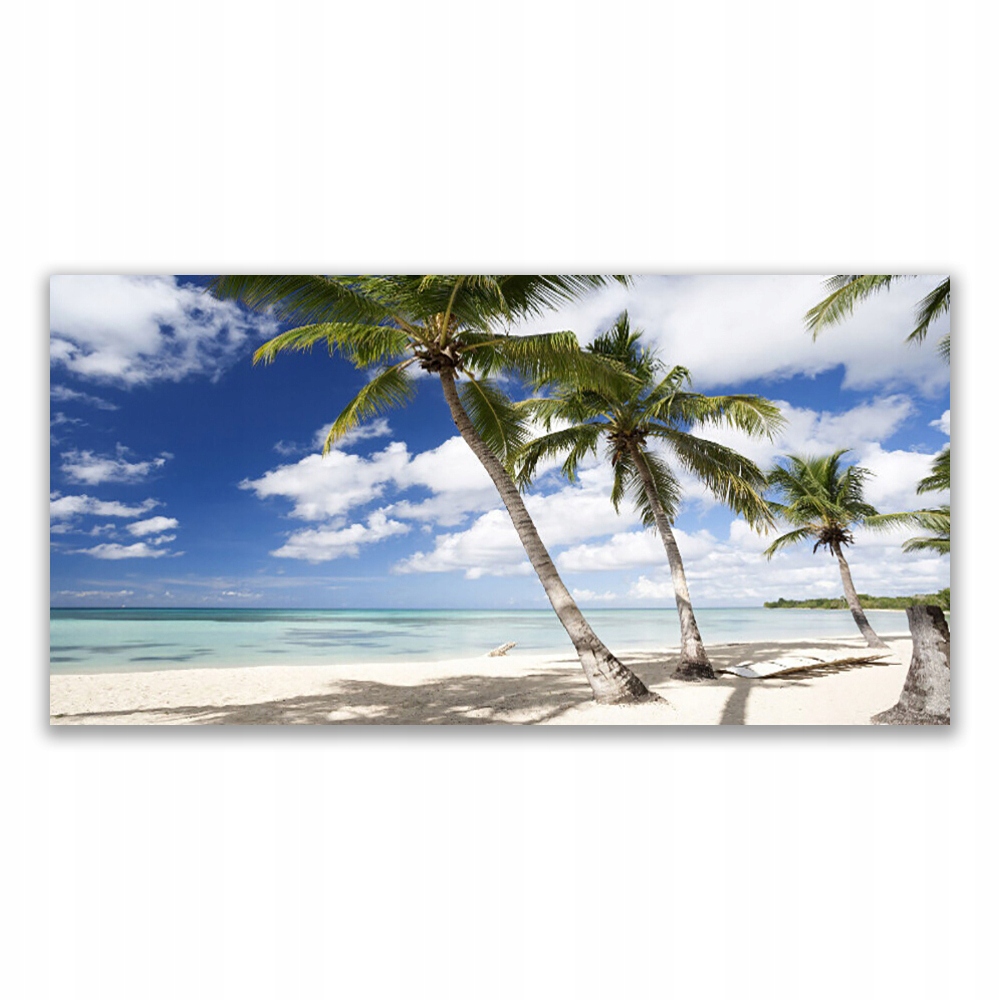 

Fotoobraz akryl 120x60 Morze Plaża Palma Krajobraz