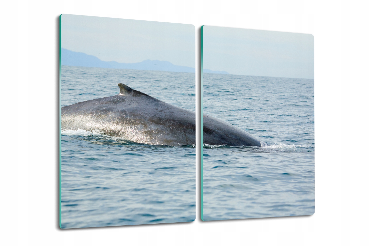 Kuchyňská skleněná deska na krájení Protiskluzová 2x30x52 Ocean velryba