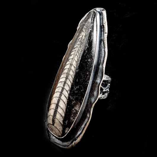 Lodička Zkamenělá Orthoceras Fossil Stříbro Stříbrná Okázalý Prstýnek
