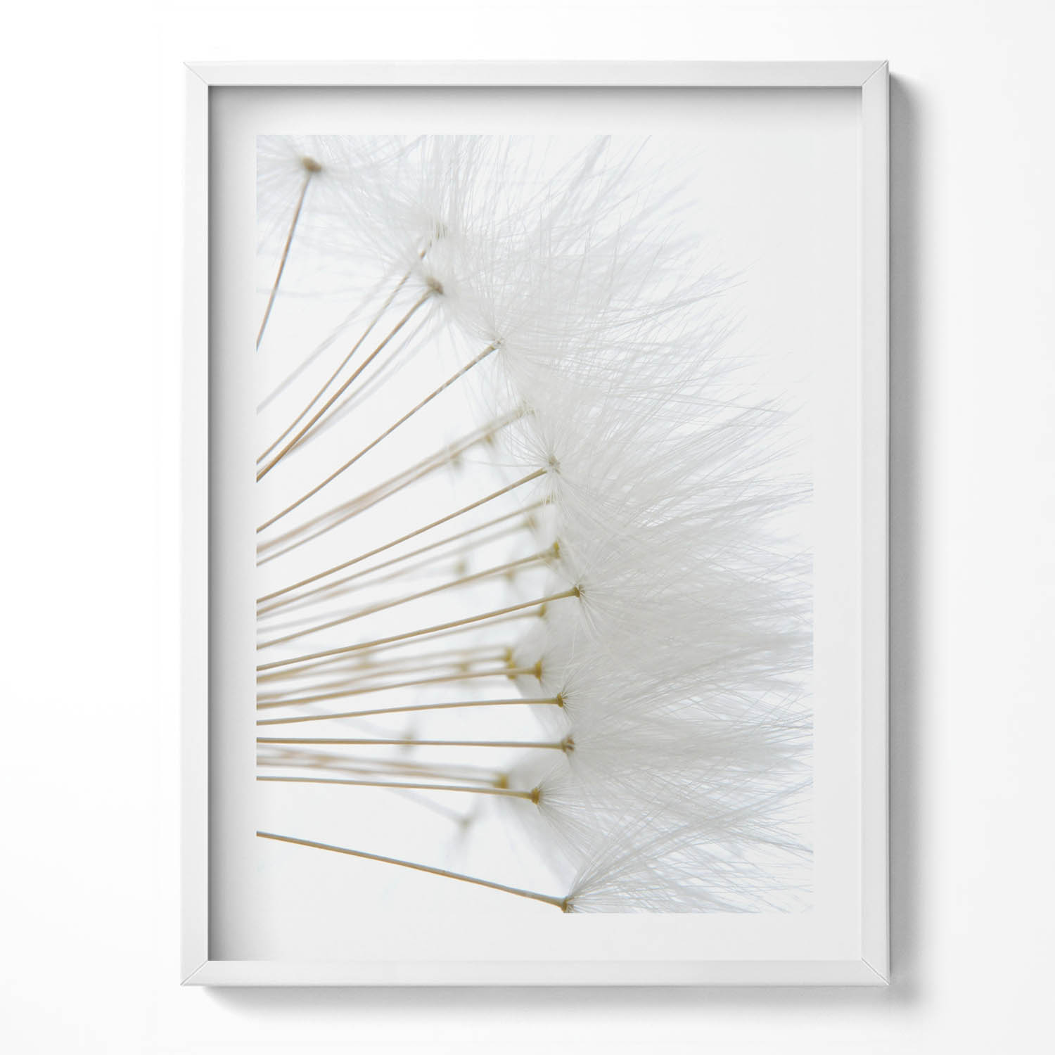 Dekorativní nástěnný obraz v bílém rámu s grafikou Bílé pampelišky 60x80 cm