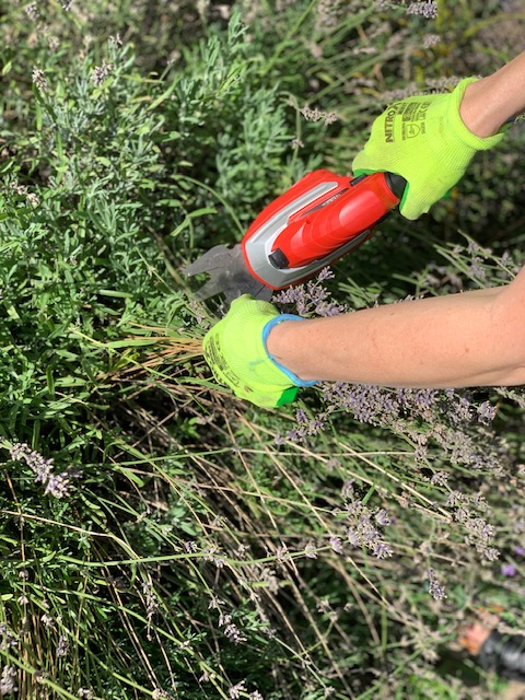 MEEC TOOLS AKUMULATOROWE NOŻYCE DO CIĘCIA PODCINANIA TRAWY KRZEWÓW ŻYWOPŁOT Zasilanie elektryczne akumulatorowe
