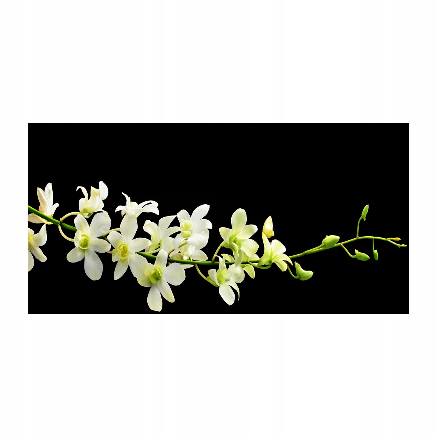 

Foto obraz szkło hartowane Orchidea 140x70