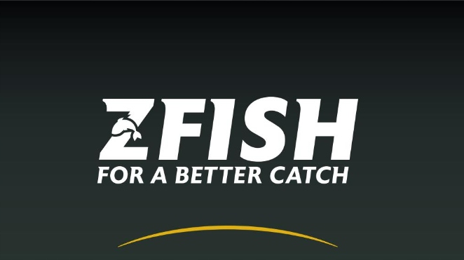 Podpórka wędkarska ZFish 50-90cm Rodzaj pojedyncza podpórka