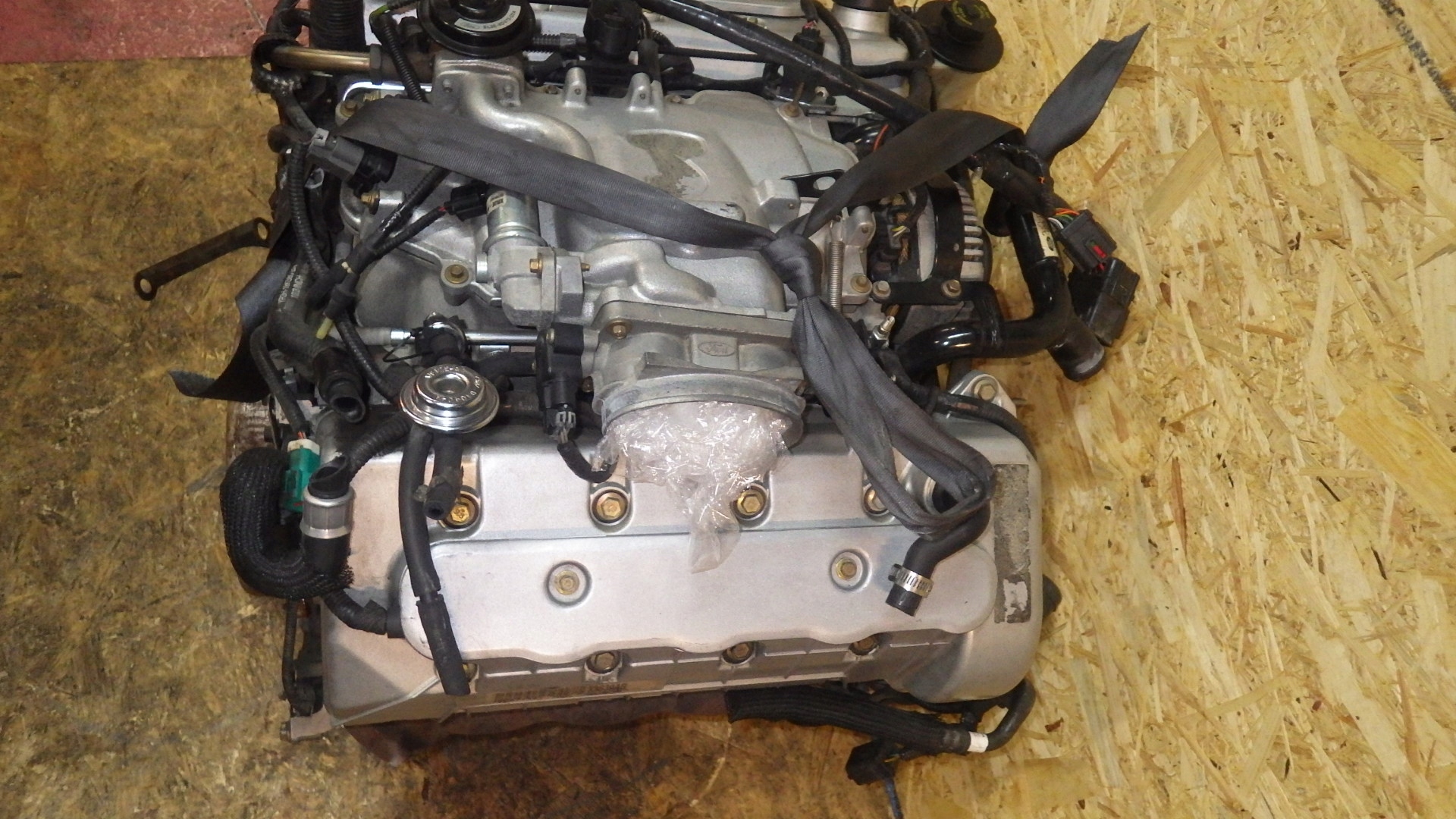 двигатель бензин FORD MUSTANG 4.6 V8 Cobra 1
