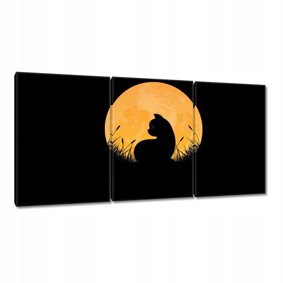 

Obrazy 120x60 Kotek Kotki Koty Kicia