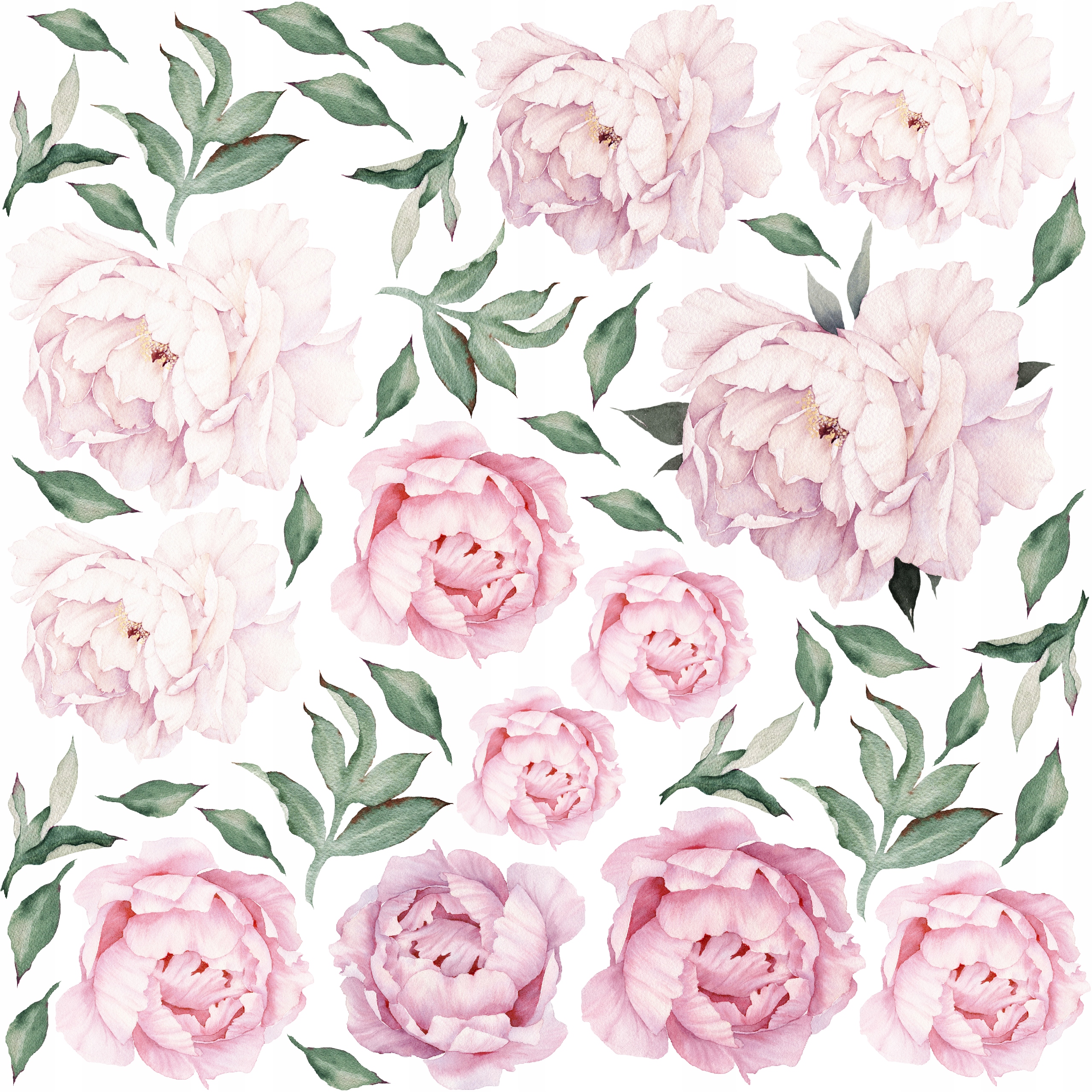 DUŻE Naklejki na ścianę PIWONIE KWIATY NAKLEJKA ROŚLINY - 100cm x 130cm