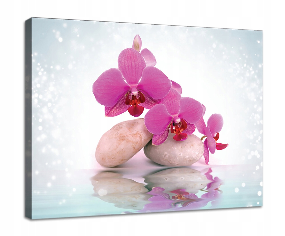 Obraz Na Plátně Canvas 100x75 Orchidej Orchidej