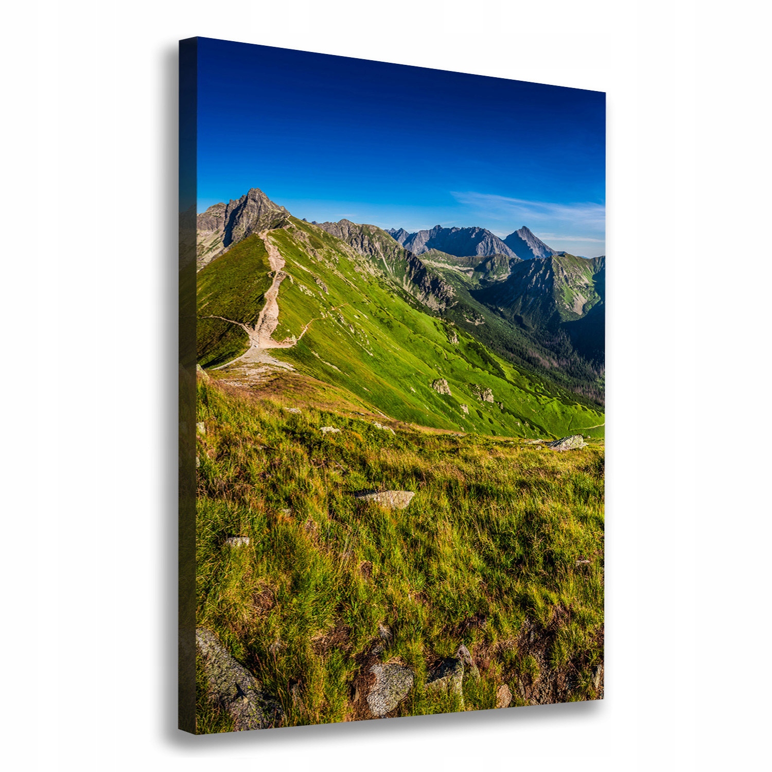 

Foto-obraz zdjęcie na płótnie Tatry 70x100 cm