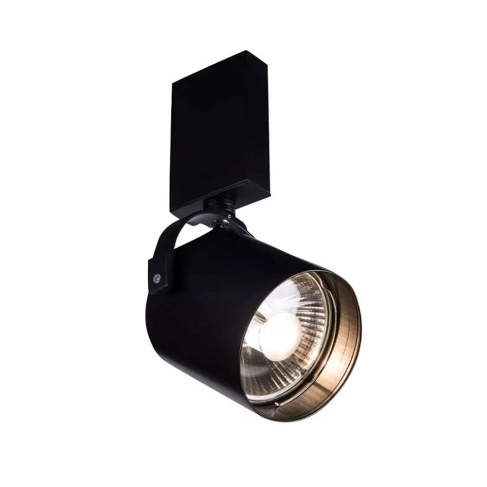 Lampa reflektor spot Tenri 2242 Antigo