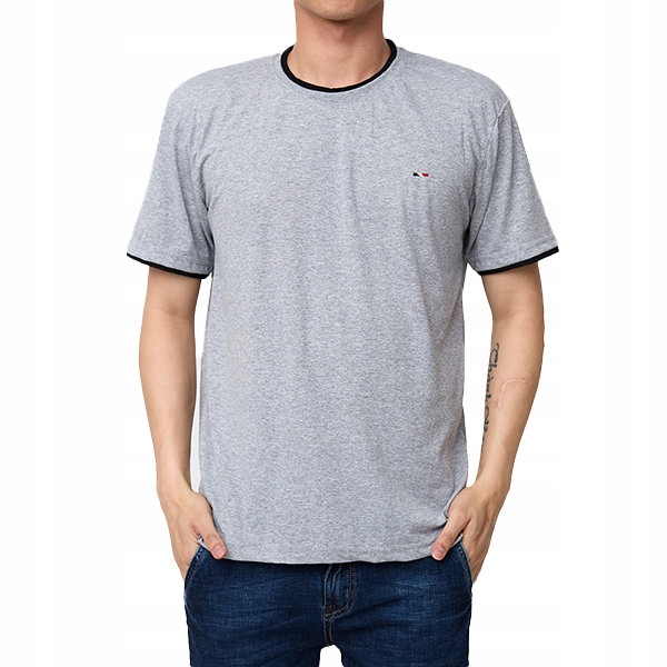 

14-316 Grey Szary Męski T-shirt L - 40