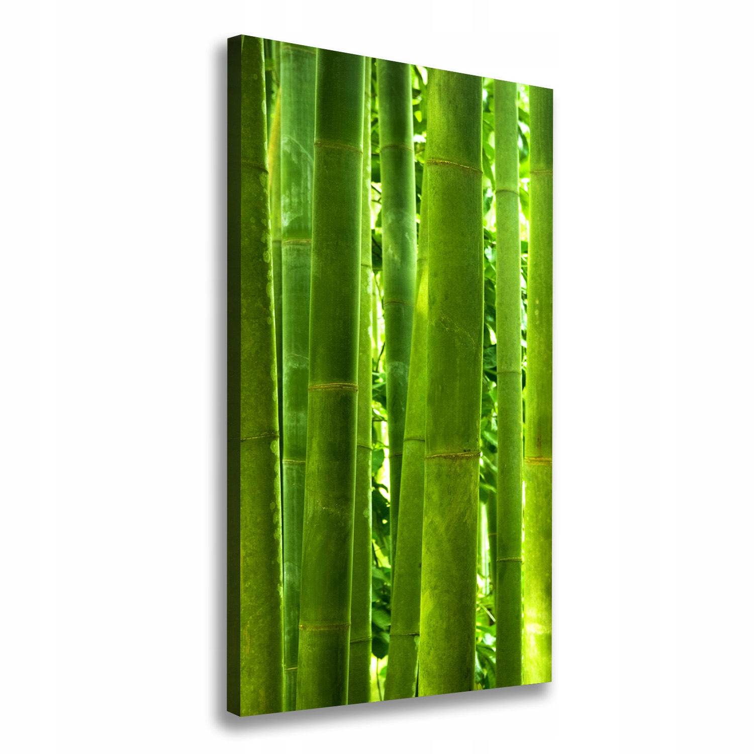 

Nowoczesny fotoobraz canvas na ramie Bambus 60x120