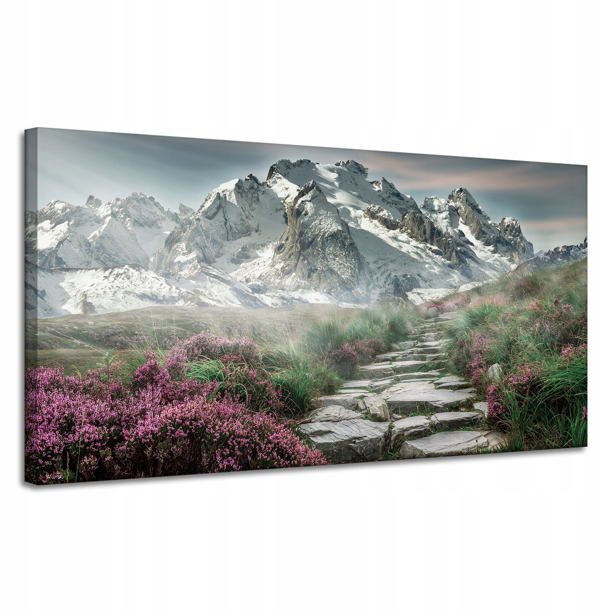 Obraz Canvas Příroda Vřesoviště v horách 120x60 cm