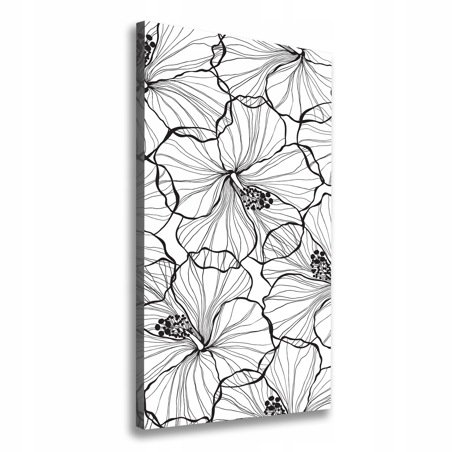 

Foto obraz na płótnie do salonu Hibiskus 60x120 cm