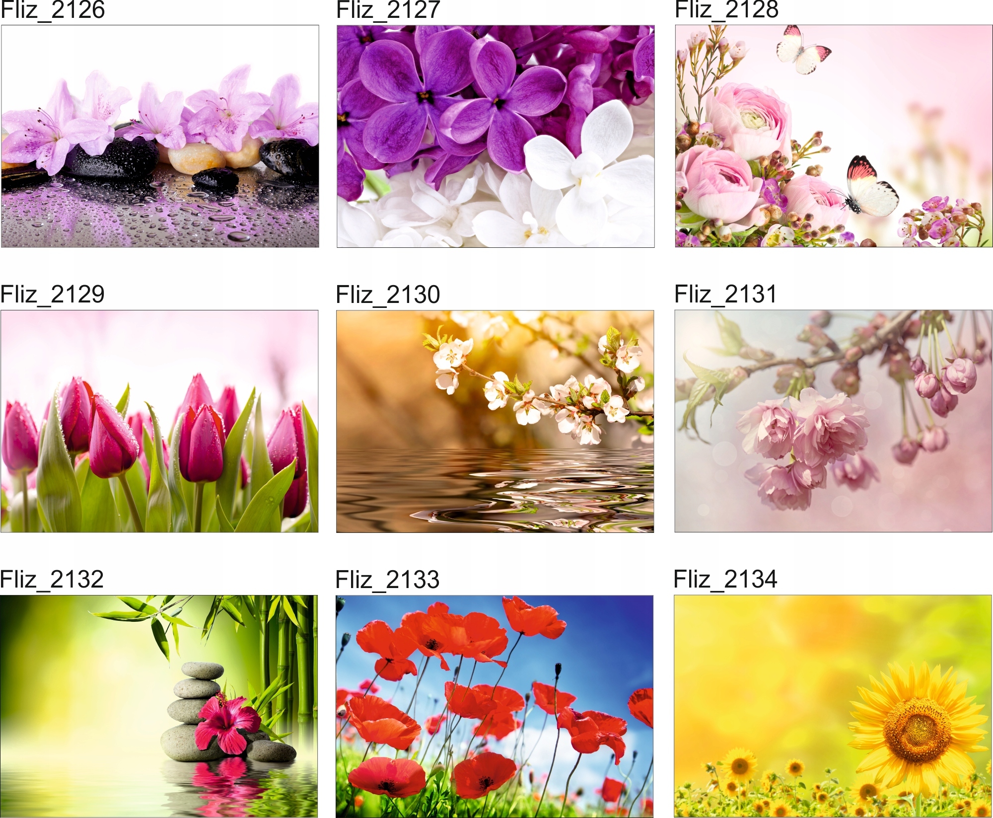 FOTOTAPETA KWIATY POLANA ŁĄKA 3D Szerokość produktu 100 cm