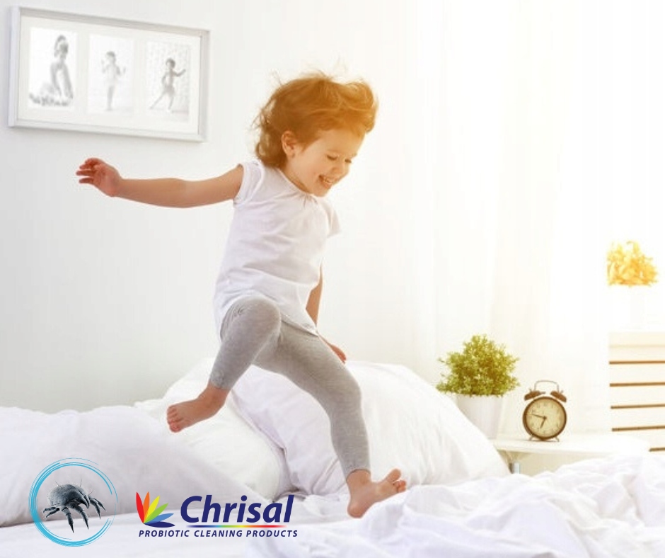 PROBIOTYCZNY SPRAY NA ROZTOCZE KURZU ALLERGY FREE Postać aerozol