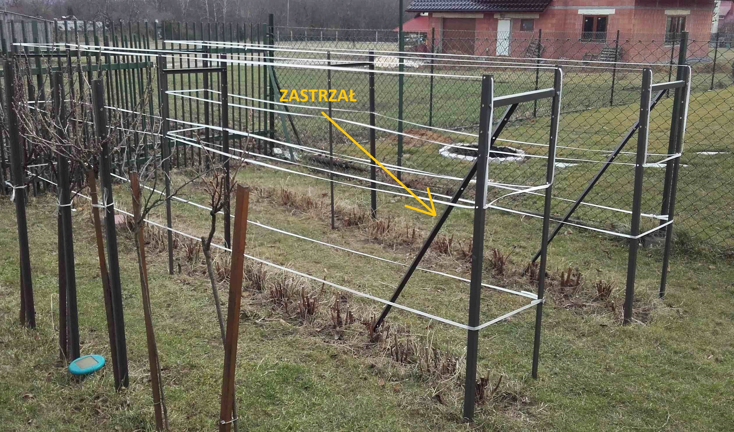 Słupek do malin, Podpora do malin, Palik do malin Rodzaj inny