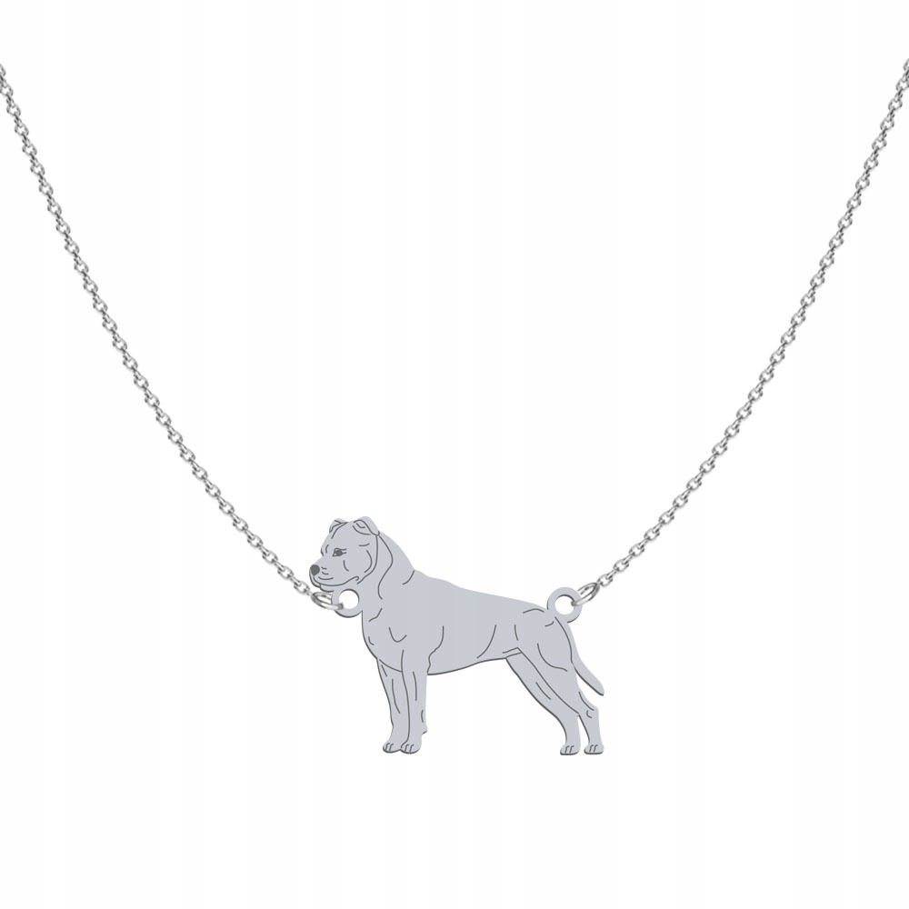 Stříbrný náhrdelník Amstaff 925 Dárek Řetízek Žena Gravírování Bonus