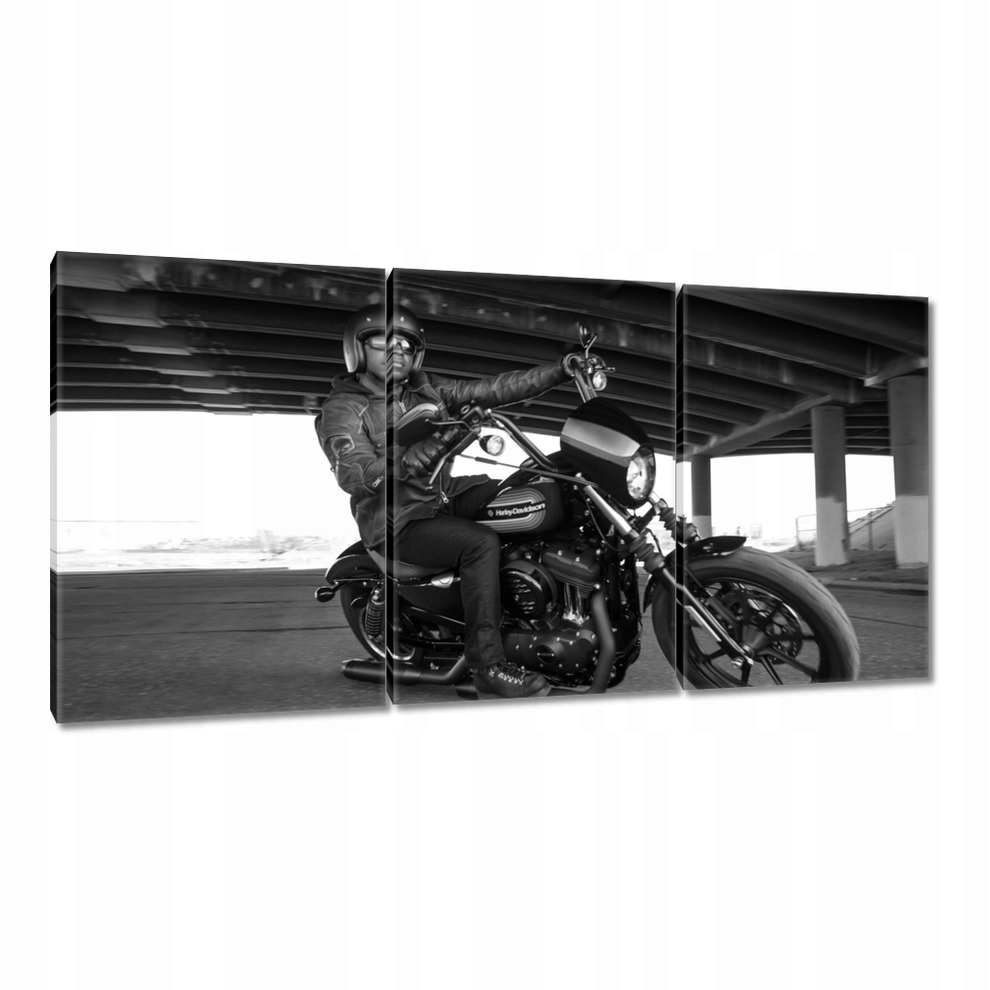 

Obrazy 120x60 Harley Davidson Motocykl