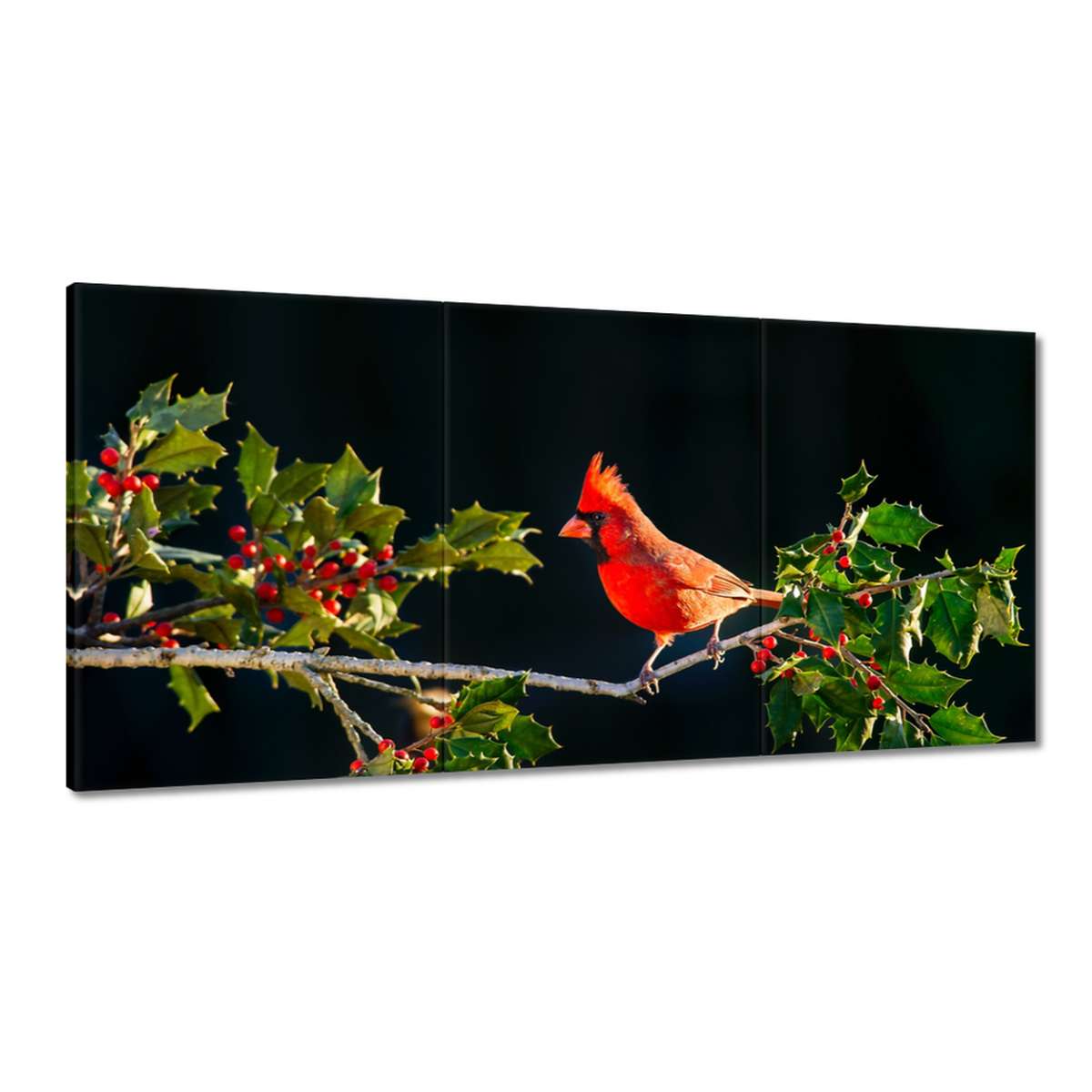 Obrazy 180x90 Vtáky Vtáky