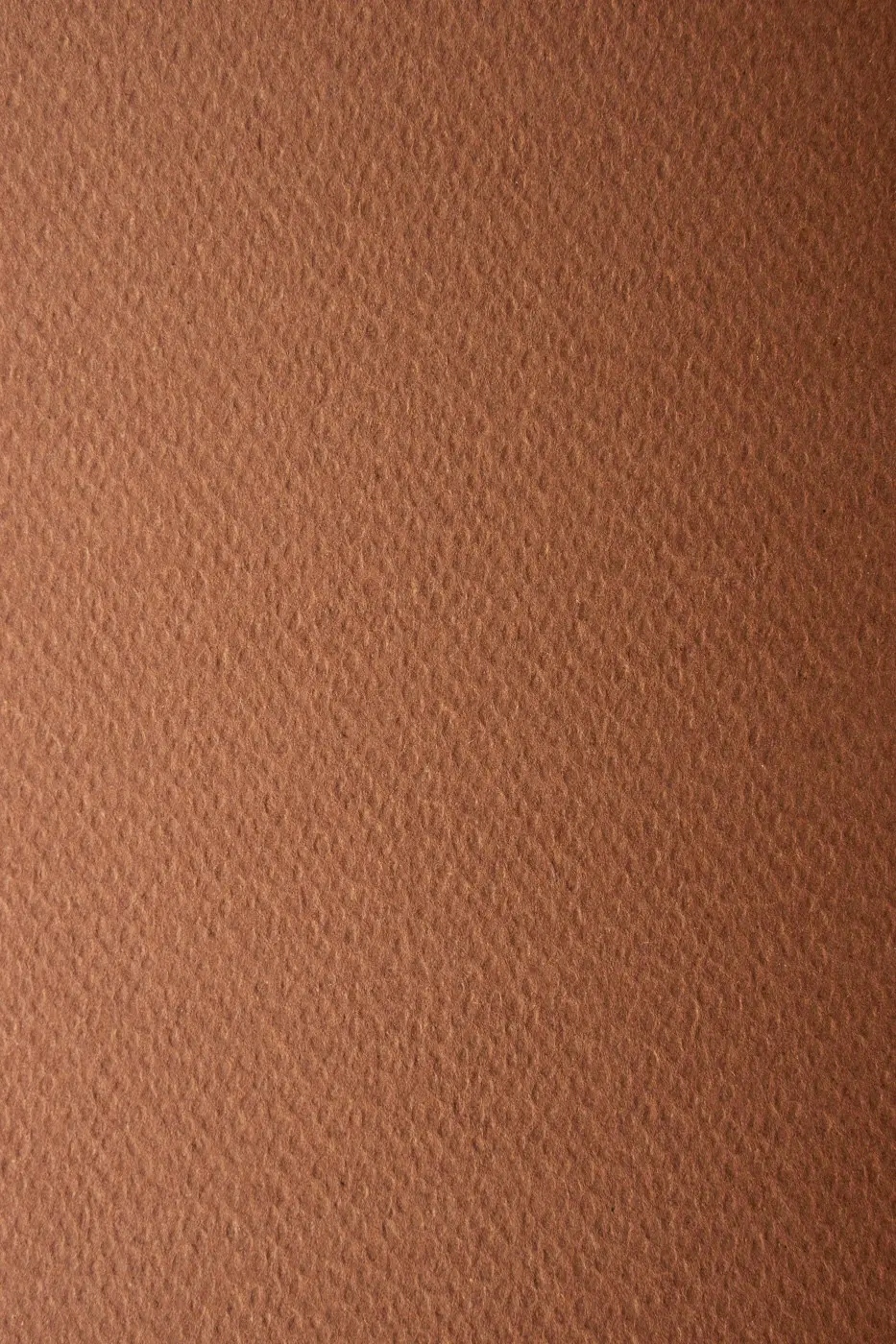 

Papier Prisma 220g Cioccolato brązowy 10A4