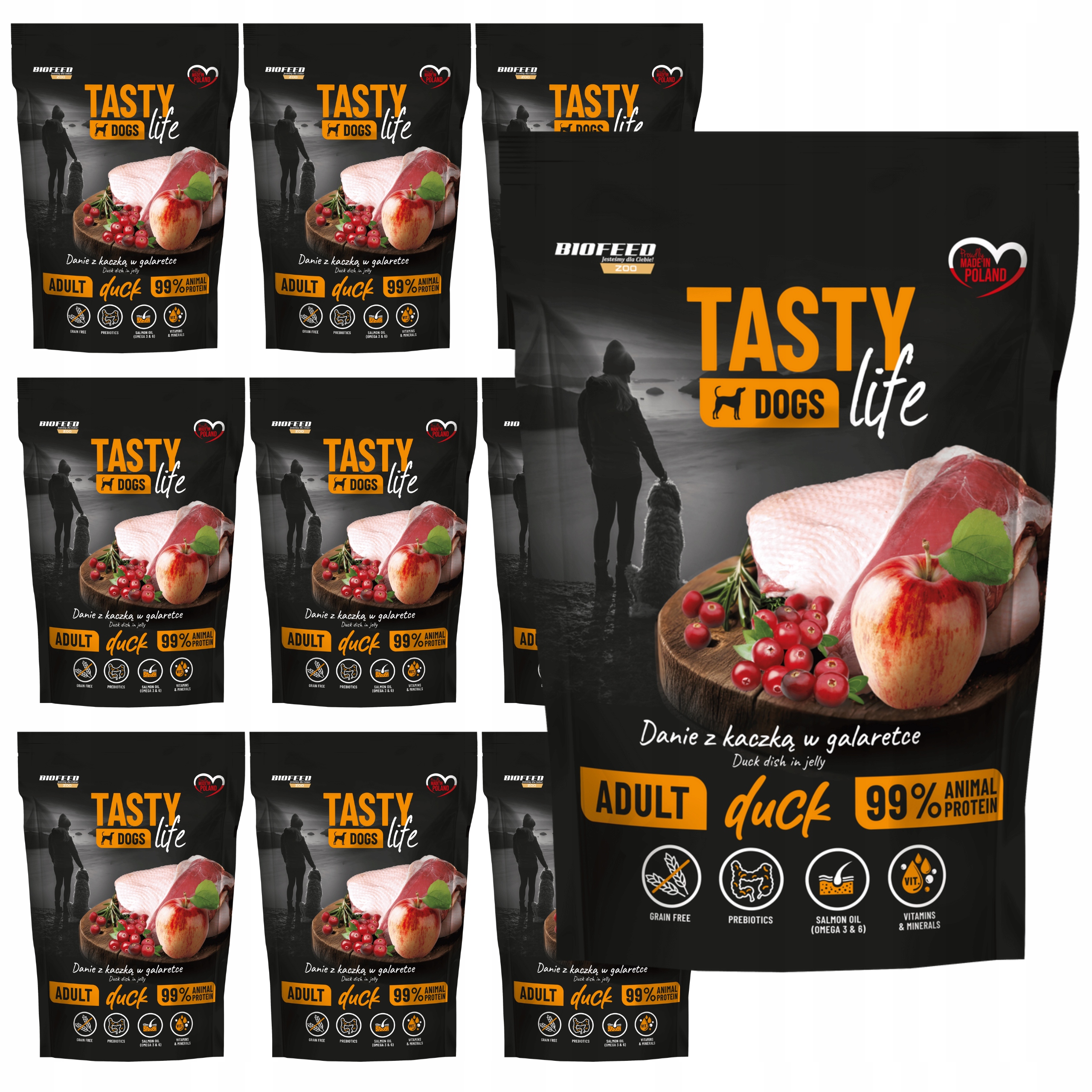 Krmivo pro psy Biofeed Tasty Life Adult Kachna v želé 10 x 500 g