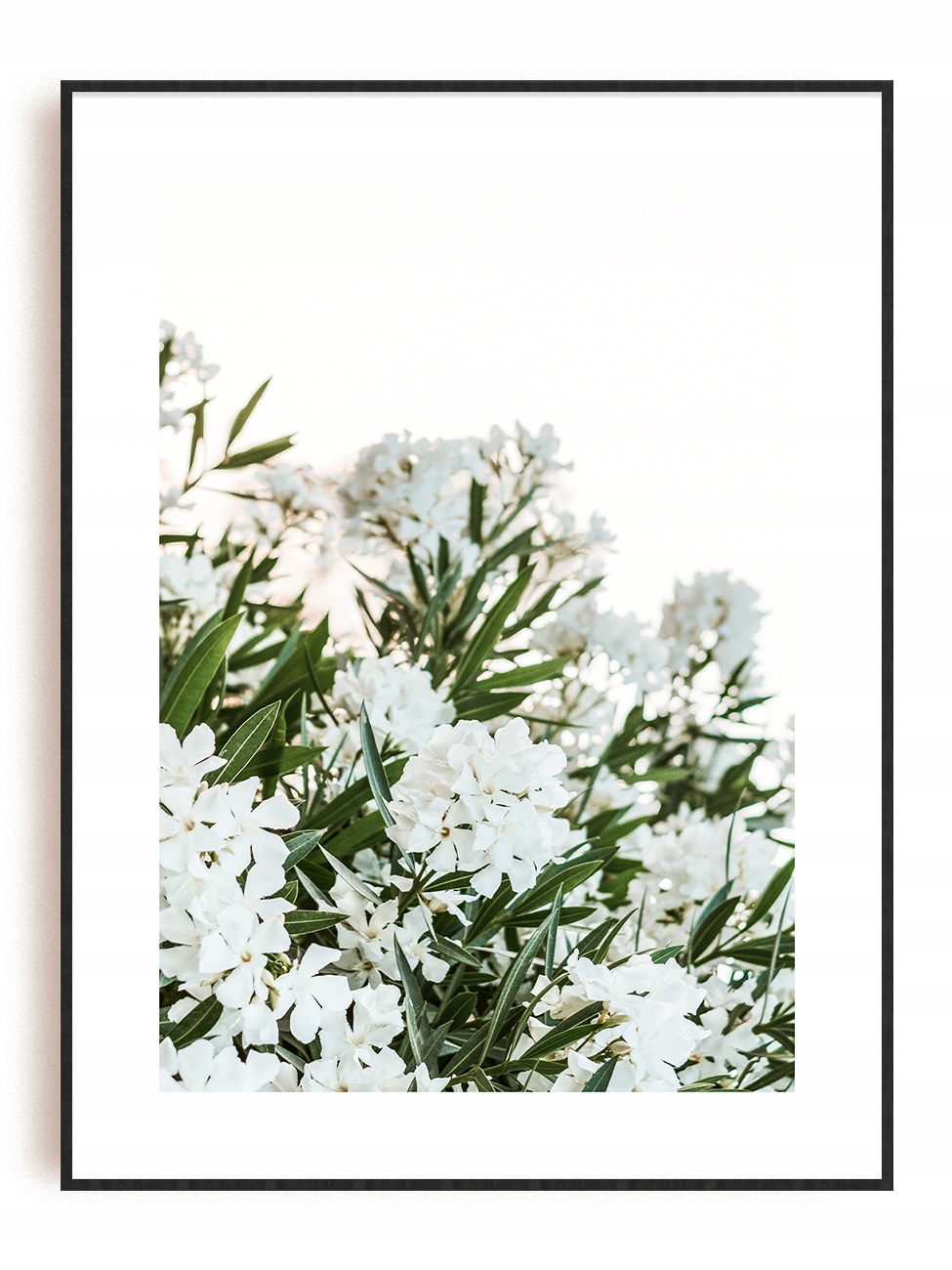 

Białe Kwiaty Plakat Obraz 15x21 A5