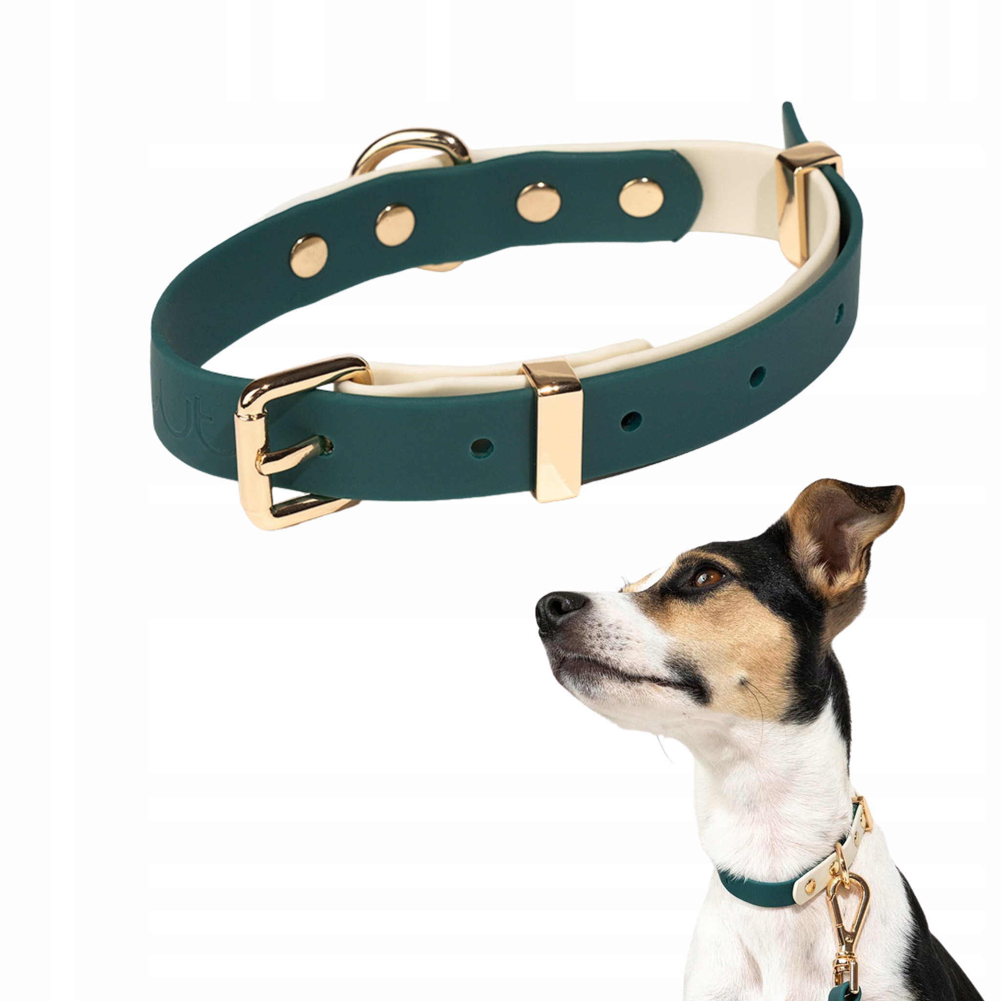 Levně Elegantní minimalistický obojek pro psa Faro páska Pvc zelená S