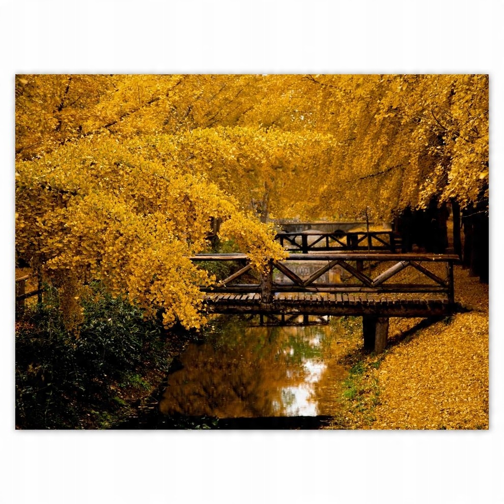 

Plakat 40x30 Pejzaż Krajobraz Widoczek