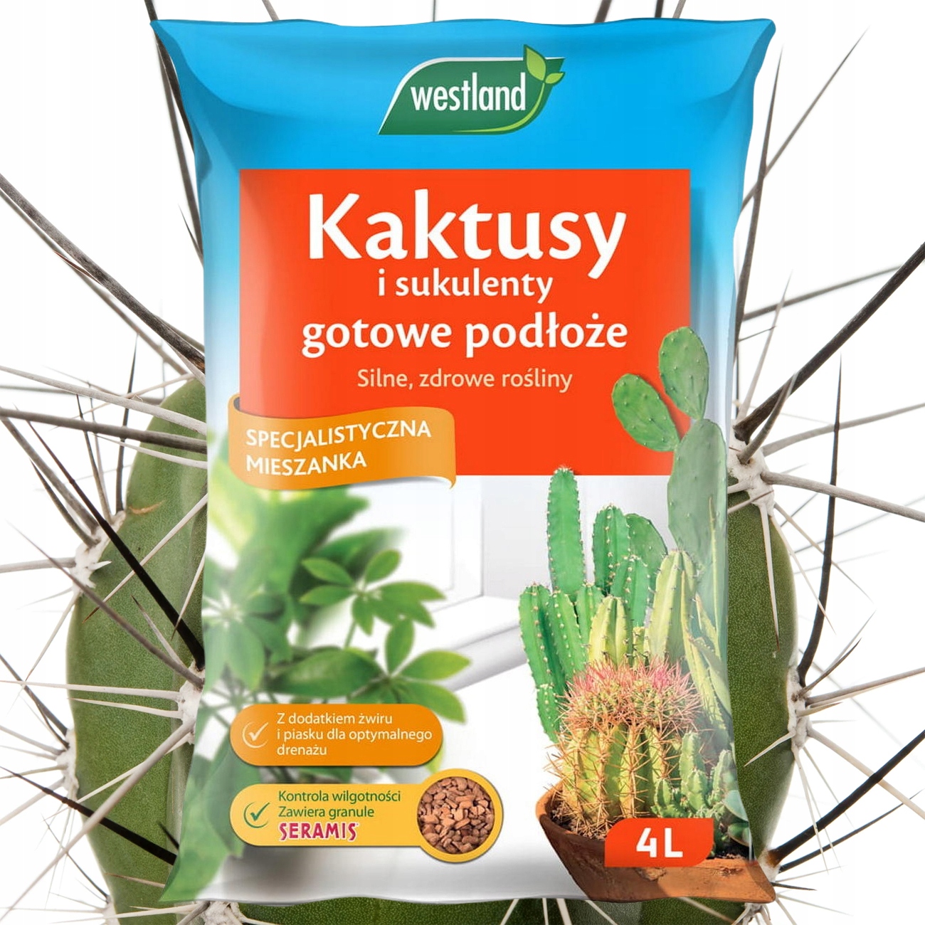 

Ziemia do Kaktusów I Sukulentów Podłoże z Seramis