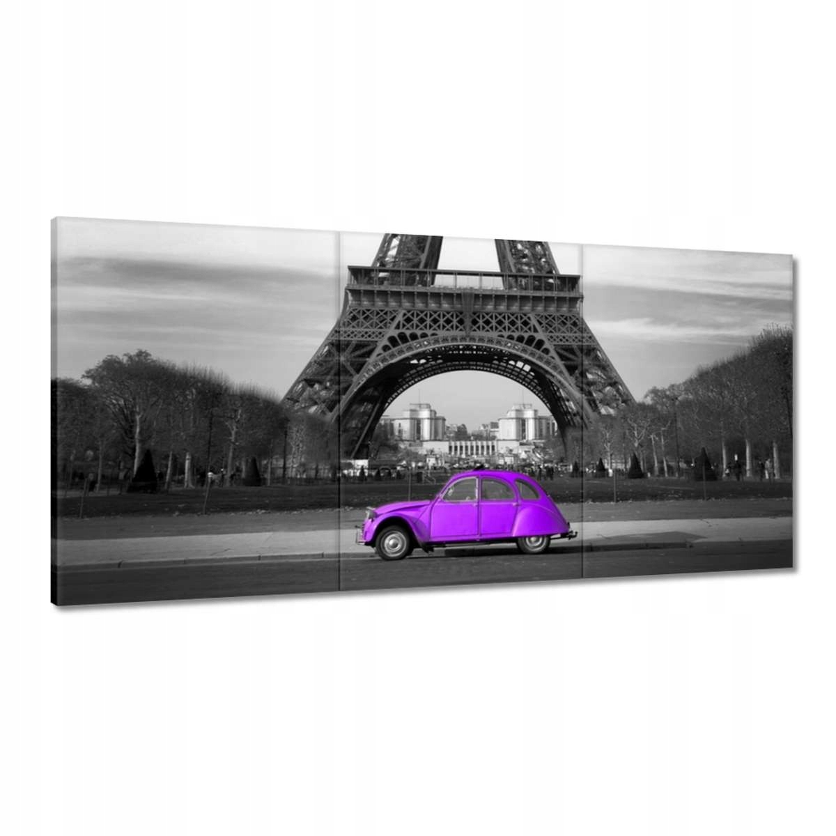 Obrazy 180x90 Fialová Citroen Veža