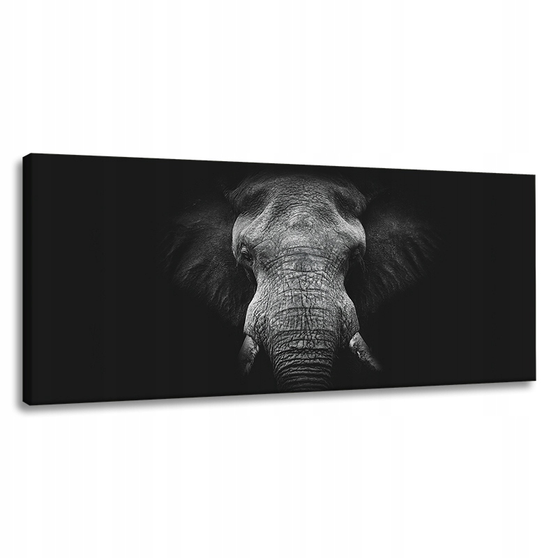 Obraz na plátně Tvář šedého slona Trubka Kly 120x60 cm