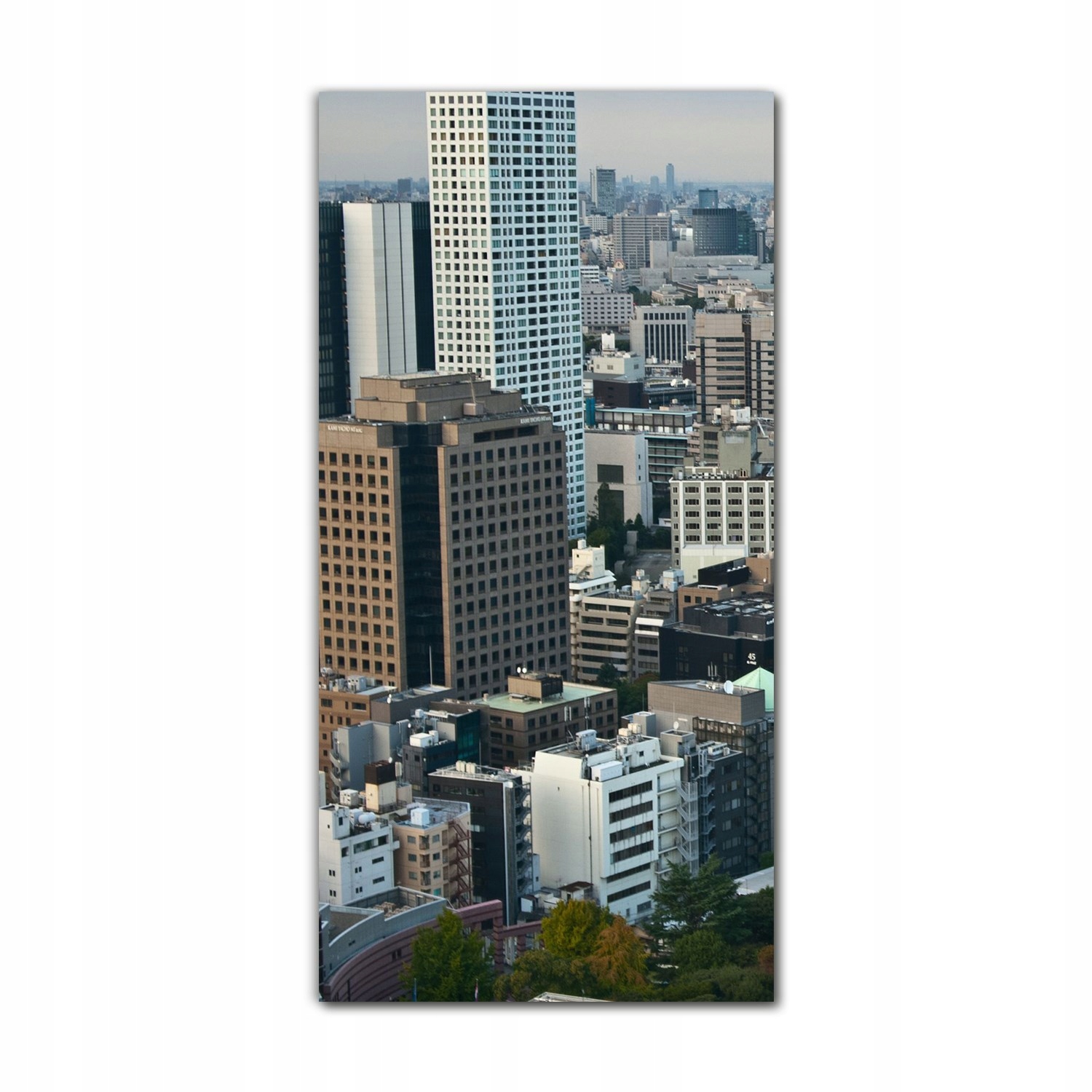 

Foto-obraz szklany do salonu 70x140 Tokio miasto