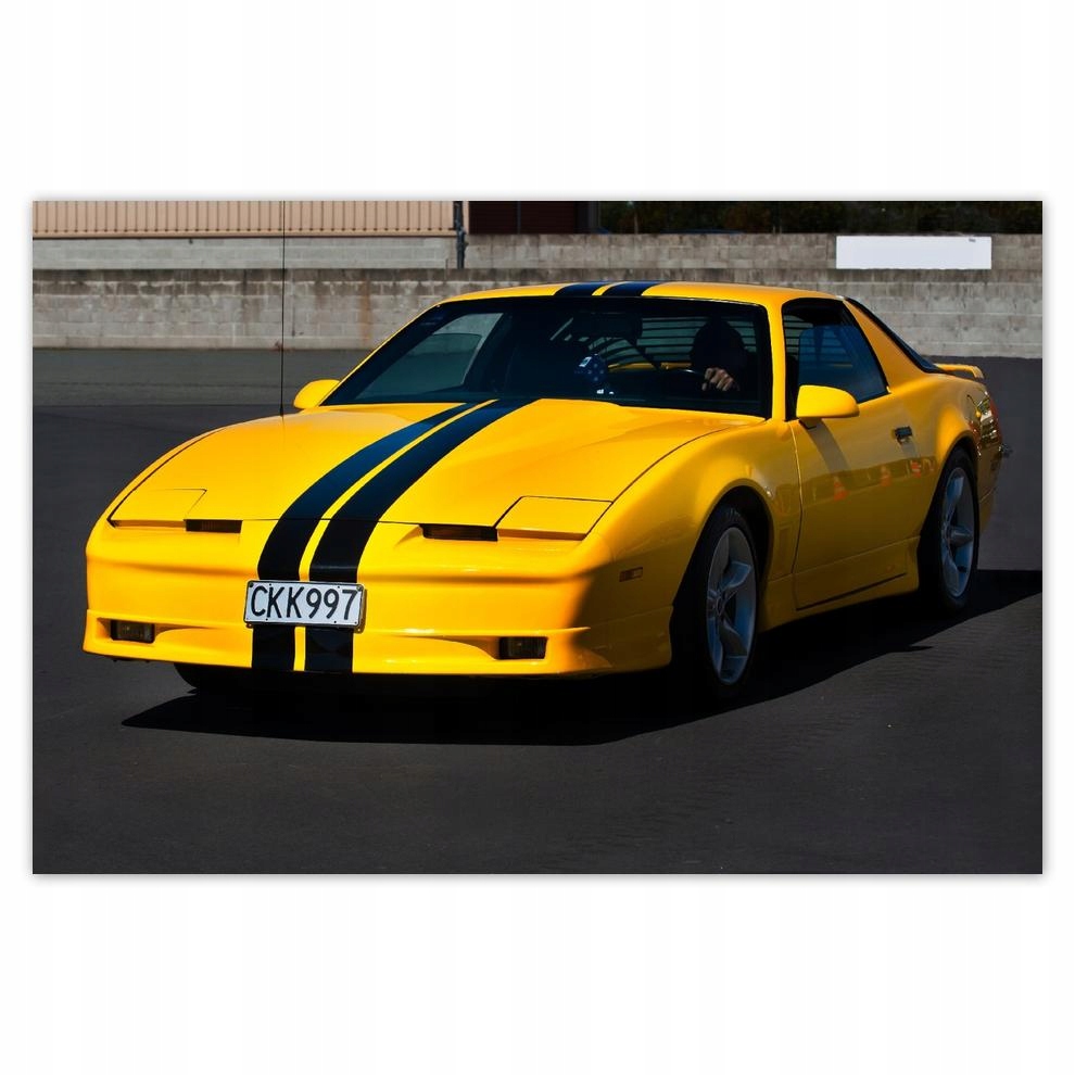 

Plakat 93x62 Pontiac Firebird 1984