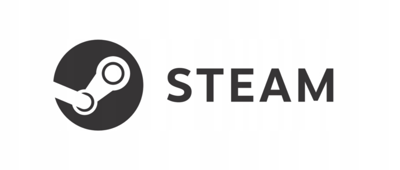 COUNTER STRIKE CS 1.6 STEAM NOWA GRA PEŁNA WERSJA Producent inny