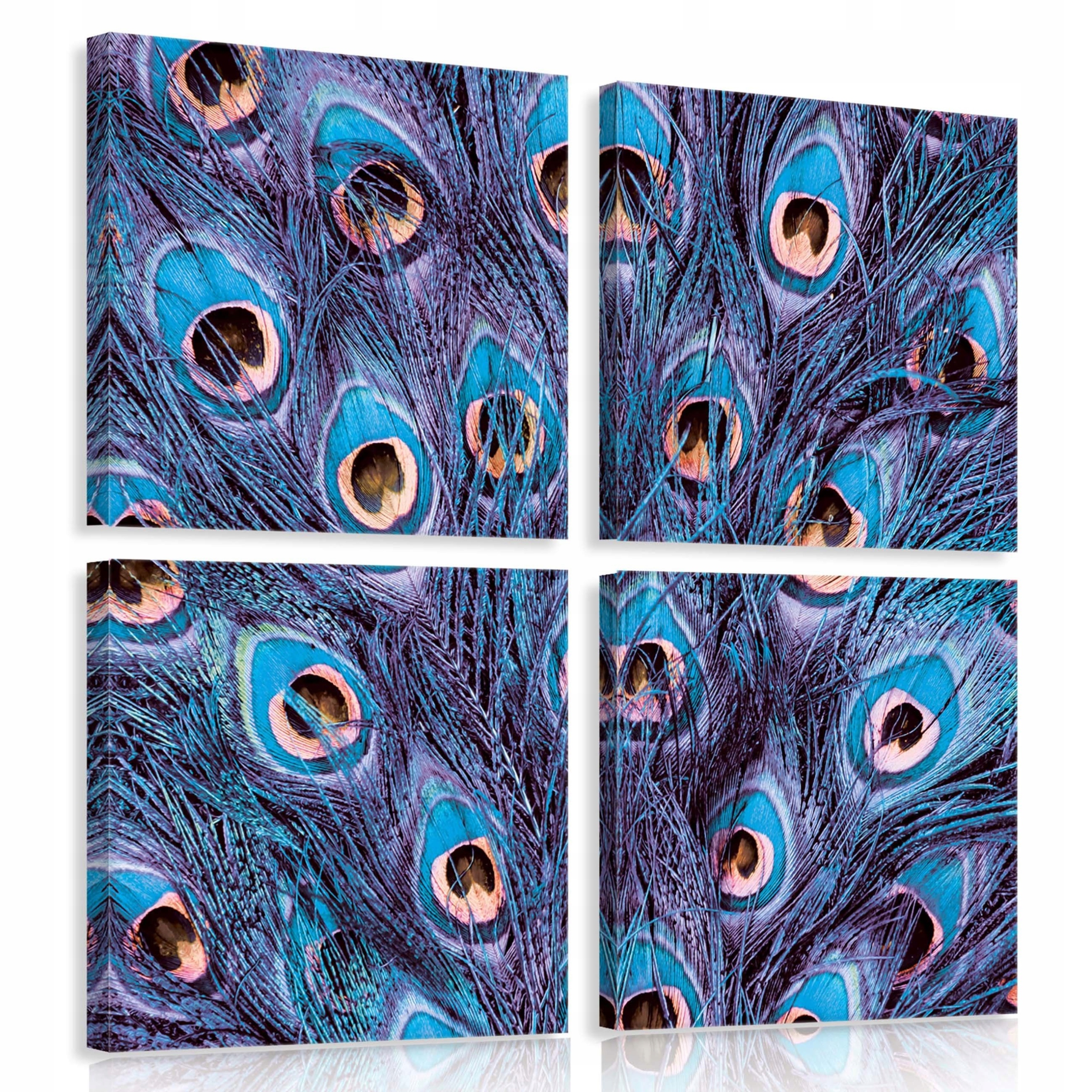 Obraz 50x50 Paví peří modrý fialový moderní luxus příroda