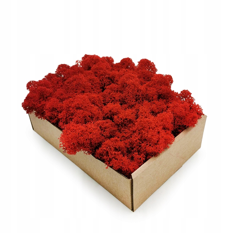 Mech chrobotek Fiński 50g Fuksja