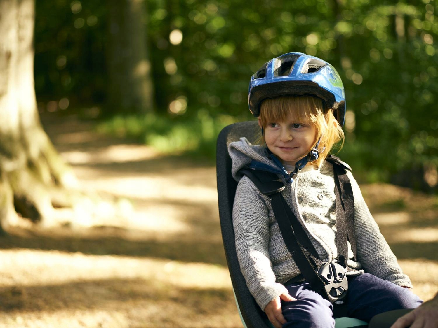 Thule Yepp Nexxt Maxi Fotelik Tylni Rower 12080221 Marka Thule