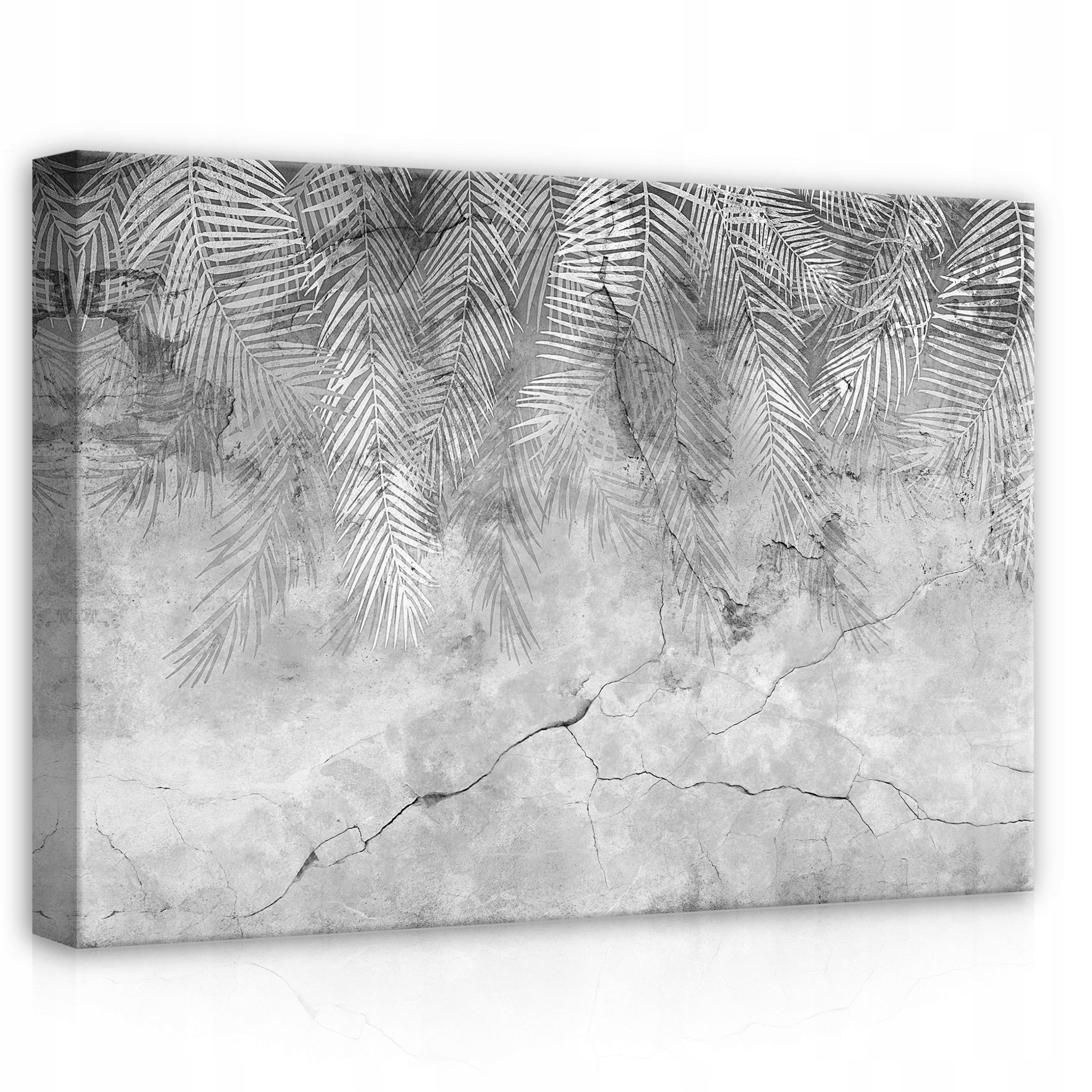 Obraz 70x50 Palmové listy beton textura šedý minimalismus městská příroda
