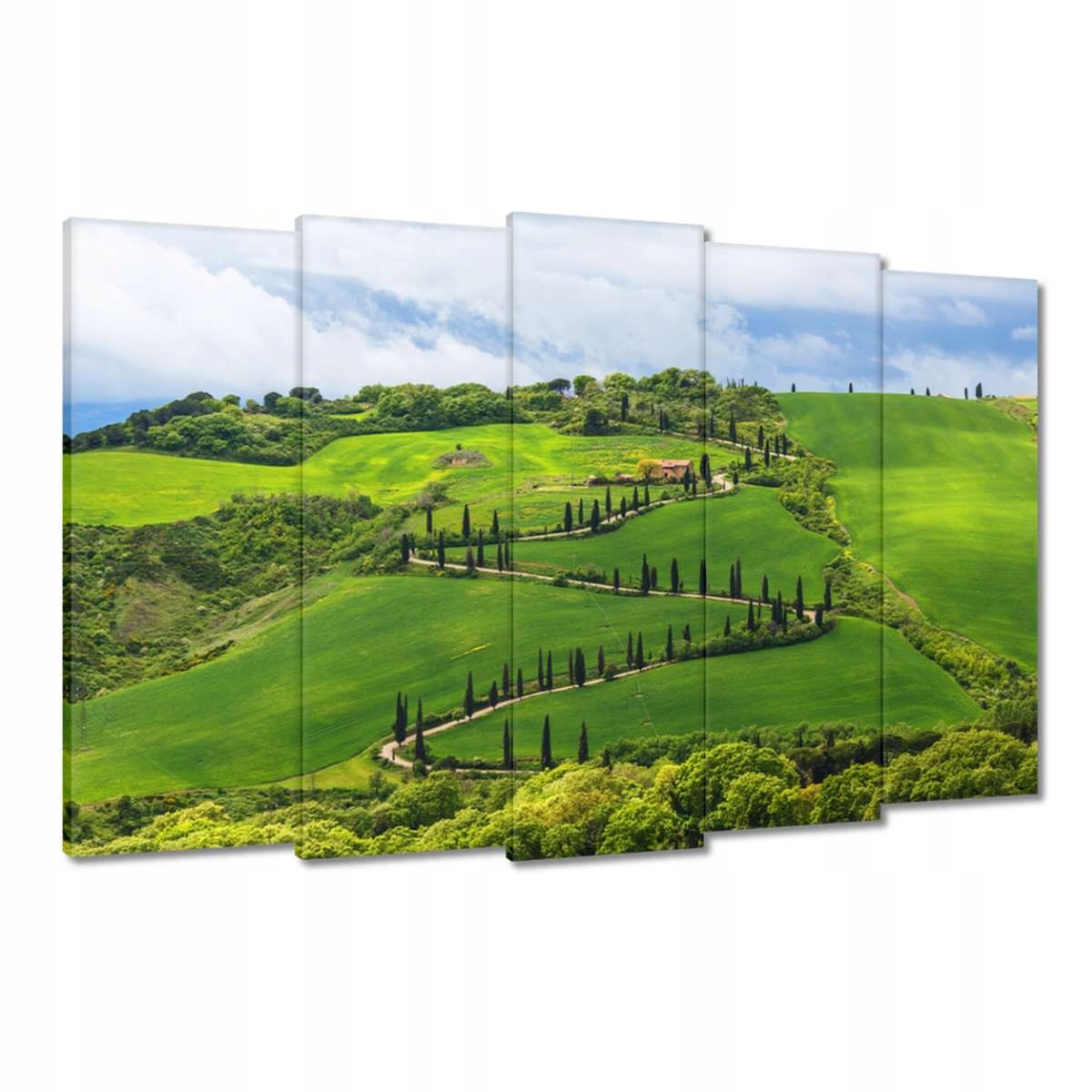 Obrazy 150x95 Cesta přes pole v Toskánsku